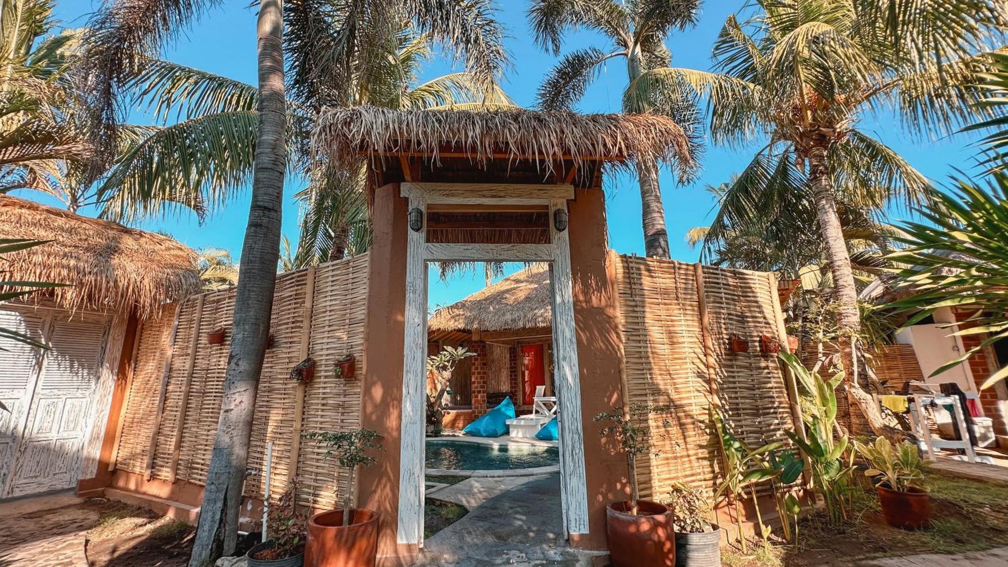 Coconut Dream